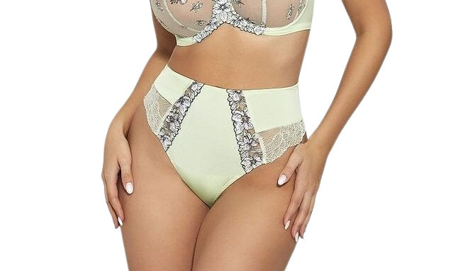 Highwaist Brief Mint