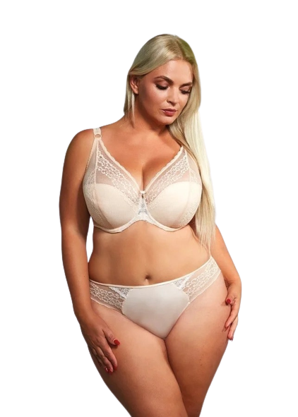 Pola Brief