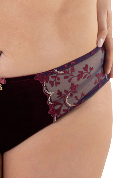Molly velvet brief