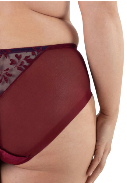 Molly velvet brief
