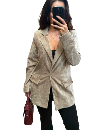 Tourya velvet colbert taupe